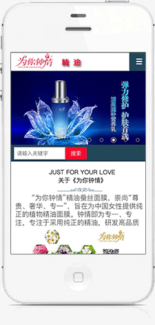 手機網站開發(fā)
